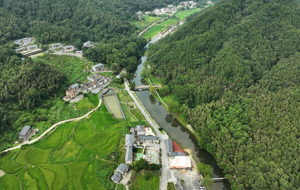 四季中國丨港背村森林小鎮的暑期開(kāi)業(yè)季