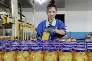 河北遵化：農產(chǎn)品深加工助力鄉村振興