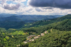 新華全媒+｜天空之眼瞰祖國——飛閱景邁山古茶林文化景觀(guān)