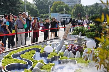 河北石家莊：園林“微景觀(guān)”展為假期添彩