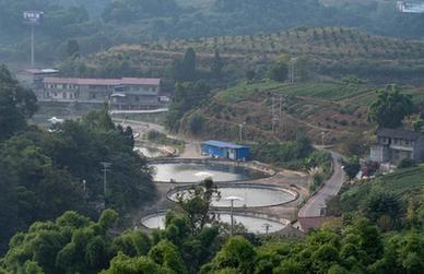 高質(zhì)量發(fā)展調研行丨四川內江：青山掛綠果 綠水躍銀魚(yú)