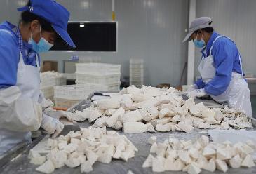 福建長(cháng)?。盒∮箢^ 大產(chǎn)業(yè)