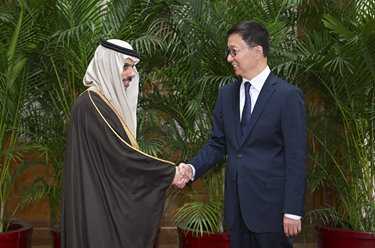 韓正集體會(huì )見(jiàn)阿拉伯、伊斯蘭國家外長(cháng)聯(lián)合代表團