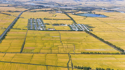 豐收節到來(lái)之際，總書(shū)記對“三農”工作寄予新期望