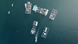 在漁排，遇見(jiàn)不一樣的香港