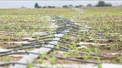 “旱變水”高標準梯田助力農田穩產(chǎn)