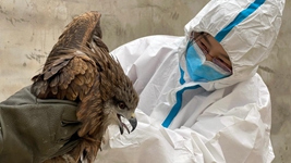 “給動(dòng)物一個(gè)溫暖的家，用愛(ài)照亮前行的路”