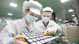 復工復產(chǎn)進(jìn)行時(shí)丨點(diǎn)滴創(chuàng  )新、集群發(fā)展……這些企業(yè)堅定擴產(chǎn)