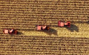 今秋，金秋！