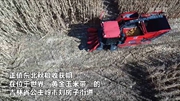 吉林：“無(wú)人農場(chǎng)”實(shí)現玉米無(wú)人自動(dòng)收割