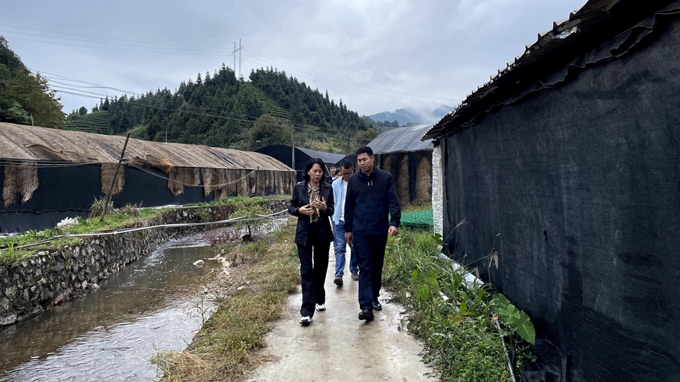 楊遠艷：到群眾中去、講群眾的話(huà)、想群眾的事