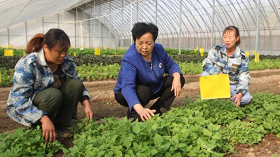 王銀香：農民的事，就是我的事