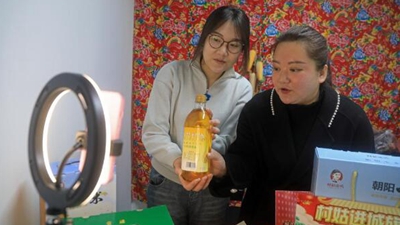 王穎：做 “有情懷，會(huì )妙招，富鄉親”新時(shí)代返鄉新農人