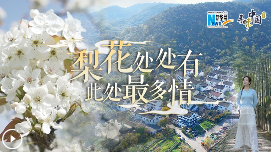 梨花處處有，此處最多情