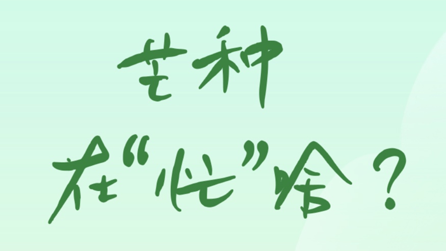 芒種在“忙”啥？