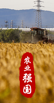 農業(yè)強國是社會(huì )主義現代化強國的根基。