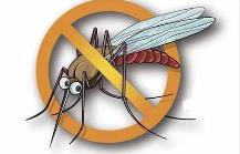 夏季，常見(jiàn)蚊蟲(chóng)如何應對