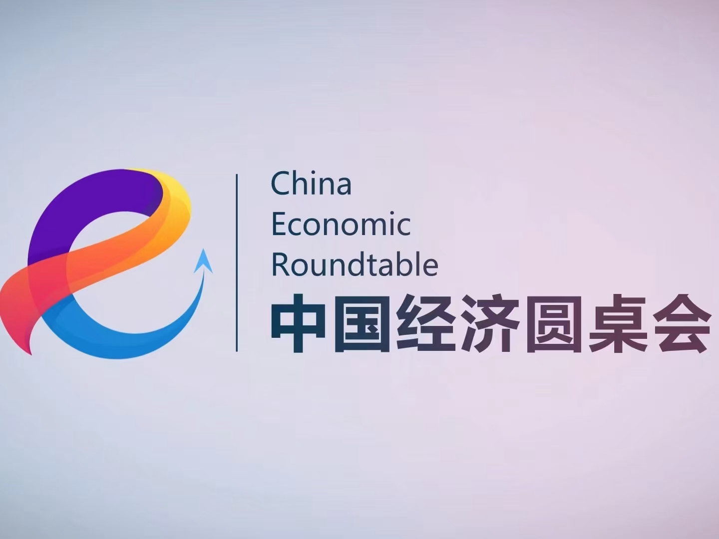 大型全媒體訪(fǎng)談節目“中國經(jīng)濟圓桌會(huì )”第十期上線(xiàn)