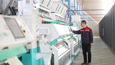 江西春耕新觀(guān)察之“糧王”升級：“加工精”“品牌推”“平臺賣(mài)”