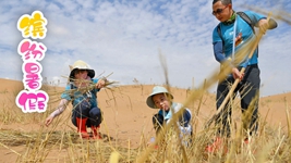 “雙減”后的第一個(gè)暑假，小朋友們是怎么度過(guò)的？