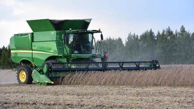 畝產(chǎn)564.81斤！記者親歷大豆高產(chǎn)誕生