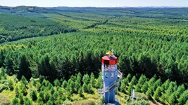 聆聽(tīng)習主席2022年新年賀詞:“讓我們一起向未來(lái)”