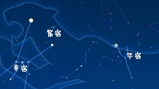 虎年來(lái)了，抬頭尋找天上的“白虎”
