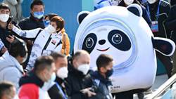 透過(guò)“冰墩墩”，感受可愛(ài)的中國