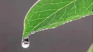 在中國古詩(shī)詞里，尋找北京冬奧的“節氣密碼”