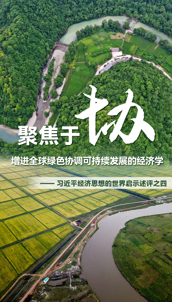 聚焦于“協(xié)”，增進(jìn)全球綠色協(xié)調可持續發(fā)展的經(jīng)濟學(xué)