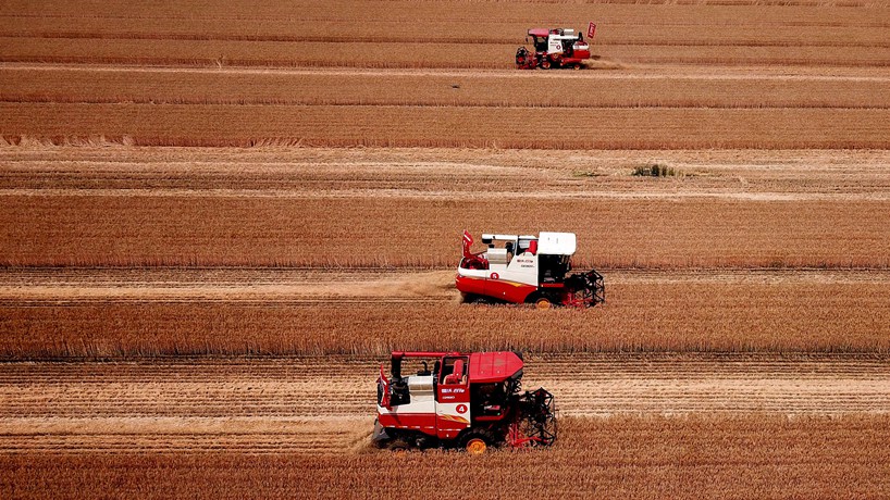 一粒米中的節糧答卷——全社會(huì )遏制“舌尖上的浪費”觀(guān)察