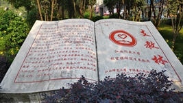 逐夢(mèng)西部天地寬——大學(xué)生志愿服務(wù)西部計劃掃描