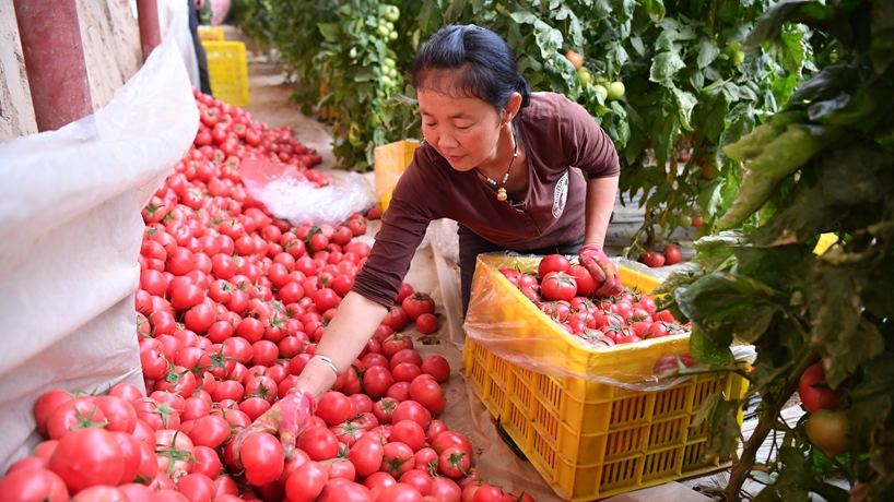 春天里，我們一起譜寫(xiě)振興新歌