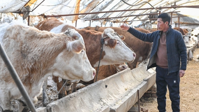 吉林：金融活水流向田間地頭、工廠(chǎng)車(chē)間