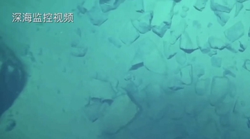 8919米！我國科學(xué)家首次探底雅浦海溝 成功采集深淵樣本