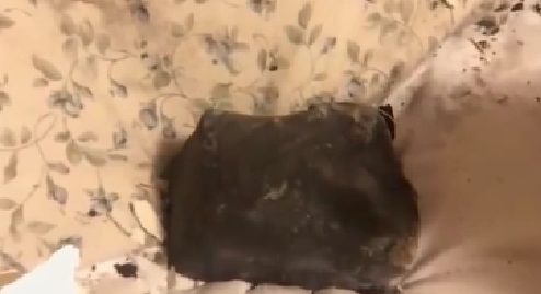 意外！人在家中睡 隕石天上來(lái)