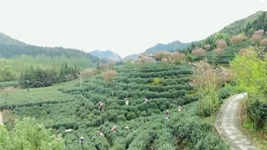 萬(wàn)象“耕”新！碼住人間四月天