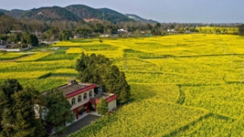 非凡十年丨四川：在新征程上奮力譜寫(xiě)治蜀興川新篇章