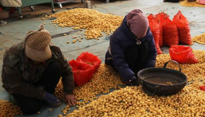 “三西”巨變40年:從“苦甲天下”到振興熱土