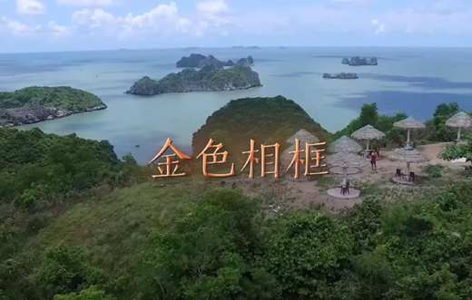 金色相框｜習近平對越南進(jìn)行國事訪(fǎng)問(wèn)